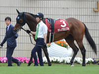 第65回 京都新聞杯（ＧII）　パドック