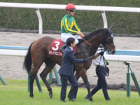 第65回 京都新聞杯（ＧII）　本馬場入場