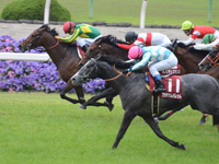 第65回 京都新聞杯（ＧII）　ゴール前（中2着）