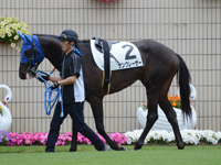 500万下　パドック