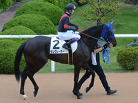 500万下　本馬場入場