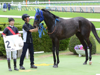 500万下　口取り