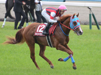第65回 京都新聞杯（ＧII）　キャンター