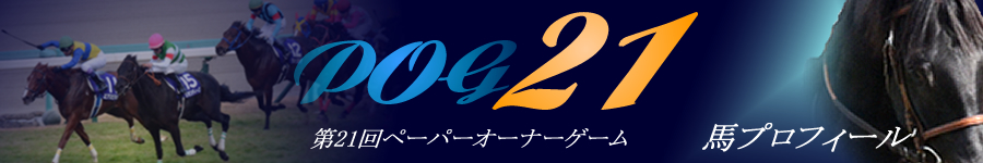 馬プロフィール
