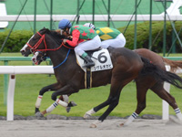 京都1R　未勝利　シゲルオカピ