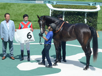 新馬　口取り