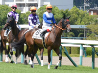 新馬　本馬場入場