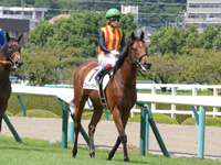 新馬　本馬場入場