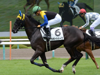 新馬（牝）　キャンター