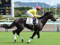 未勝利　キャンター