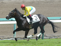 未勝利　ゴール前