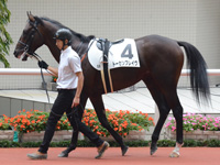 新馬　パドック