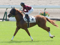 新馬　キャンター
