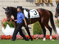 新馬　パドック