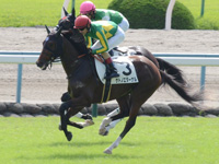 新馬　キャンター