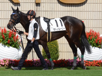 新馬（牝）　パドック