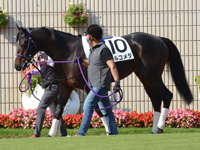 新馬　パドック