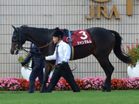 第52回 デイリー杯２歳ステークス（ＧII）　パドック