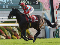 第52回 デイリー杯２歳ステークス（ＧII）　キャンター