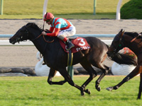 第52回 デイリー杯２歳ステークス（ＧII）　ゴール前