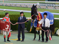 第52回 デイリー杯２歳ステークス（ＧII）　口取り