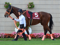 第52回 デイリー杯２歳ステークス（ＧII）　パドック