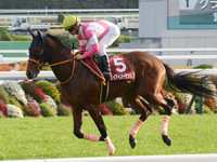 第52回 デイリー杯２歳ステークス（ＧII）　キャンター