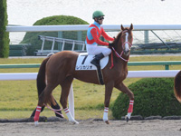 未勝利　本馬場入場