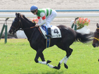 新馬　キャンター