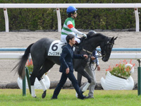 新馬（牝）　キャンター
