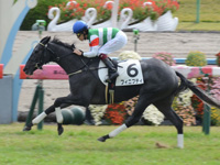 新馬（牝）　ゴール前