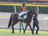 新馬　本馬場入場