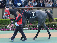 ベゴニア賞（500万）　パドック