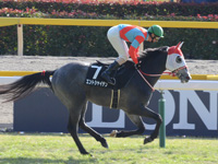 ベゴニア賞（500万）　キャンター
