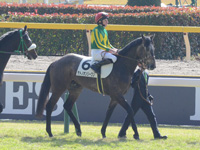 未勝利　本馬場入場
