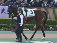 未勝利　パドック