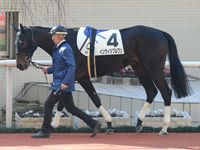 未勝利　パドック