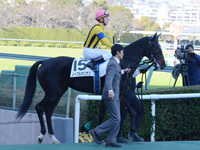 未勝利　本馬場入場
