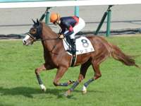 新馬　キャンター