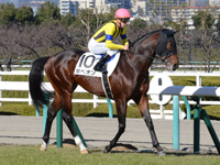 新馬　本馬場入場
