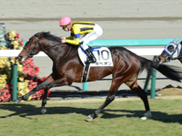 新馬　ゴール前