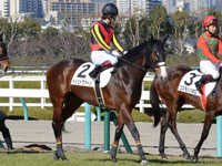 新馬　本馬場入場
