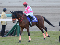 朝日杯フューチュリティＳ（ＧＩ）　本馬場入場