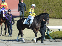 本馬場入場