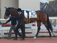 未勝利　パドック