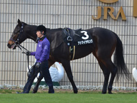 福寿草特別（500万）　パドック