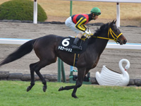福寿草特別（500万）　キャンター