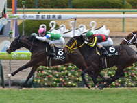 福寿草特別（500万）　ゴール前（外2着）