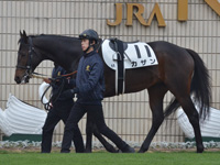 新馬　パドック