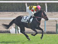 未勝利　キャンター